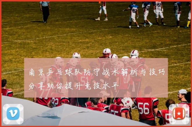 南京乒乓球队防守战术解析与技巧分享助你提升竞技水平