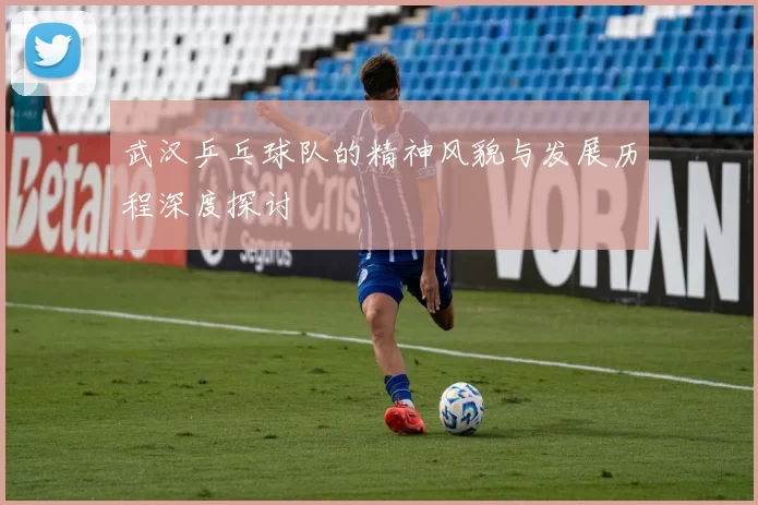 武汉乒乓球队的精神风貌与发展历程深度探讨