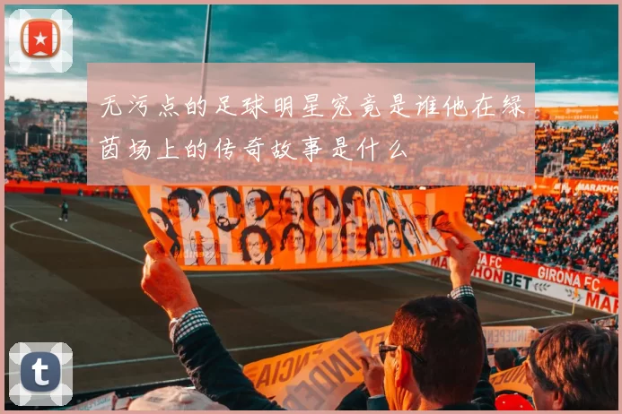 无污点的足球明星究竟是谁他在绿茵场上的传奇故事是什么