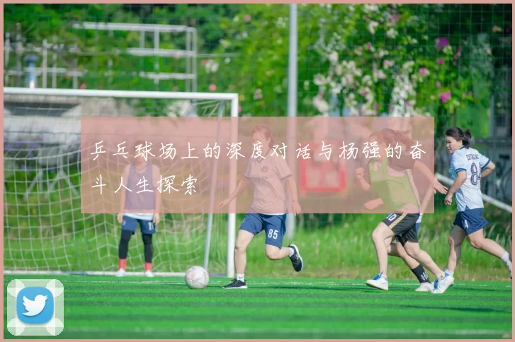 乒乓球场上的深度对话与杨强的奋斗人生探索