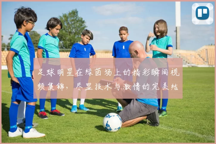 足球明星在绿茵场上的精彩瞬间视频集锦，尽显技术与激情的完美结合