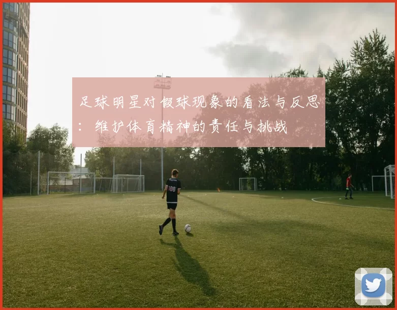 足球明星对假球现象的看法与反思：维护体育精神的责任与挑战