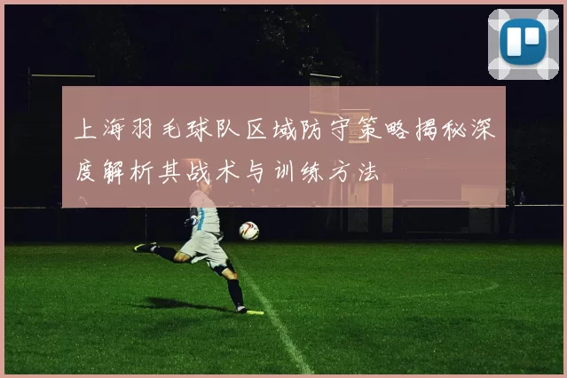 上海羽毛球队区域防守策略揭秘深度解析其战术与训练方法
