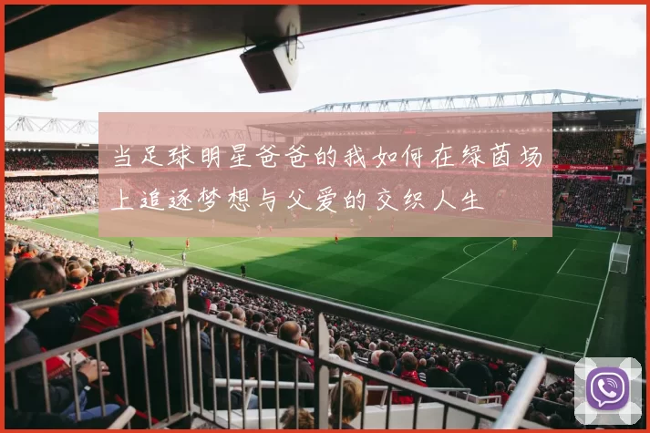 当足球明星爸爸的我如何在绿茵场上追逐梦想与父爱的交织人生