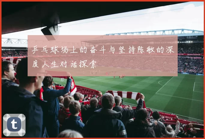乒乓球场上的奋斗与坚持陈敏的深度人生对话探索