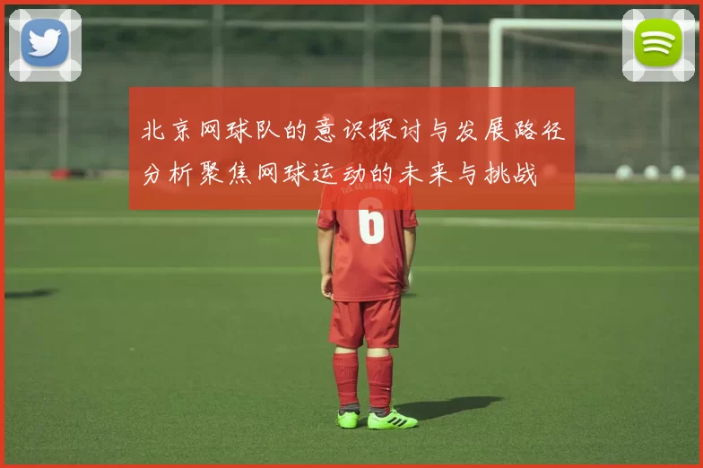 北京网球队的意识探讨与发展路径分析聚焦网球运动的未来与挑战