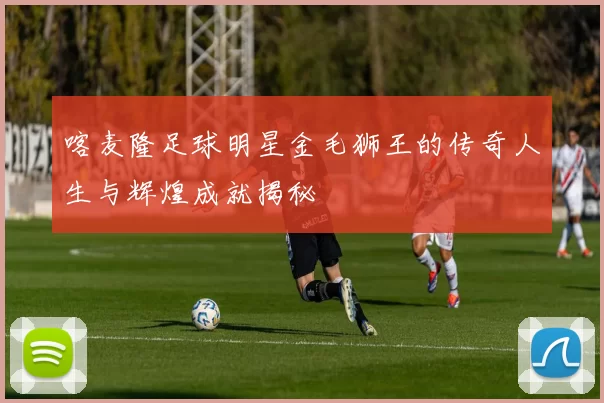 喀麦隆足球明星金毛狮王的传奇人生与辉煌成就揭秘