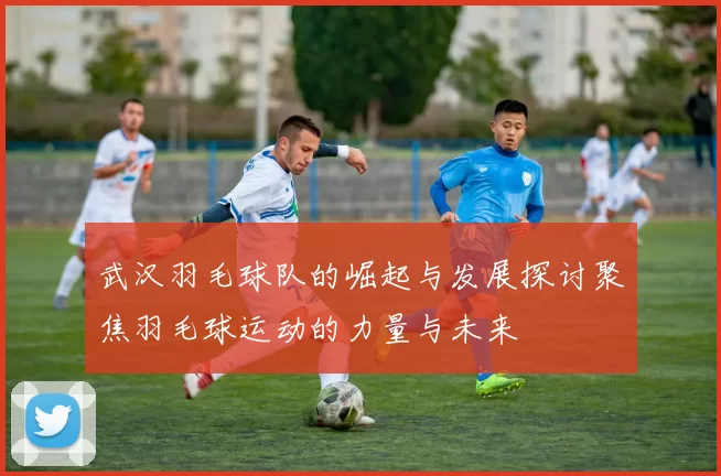 武汉羽毛球队的崛起与发展探讨聚焦羽毛球运动的力量与未来