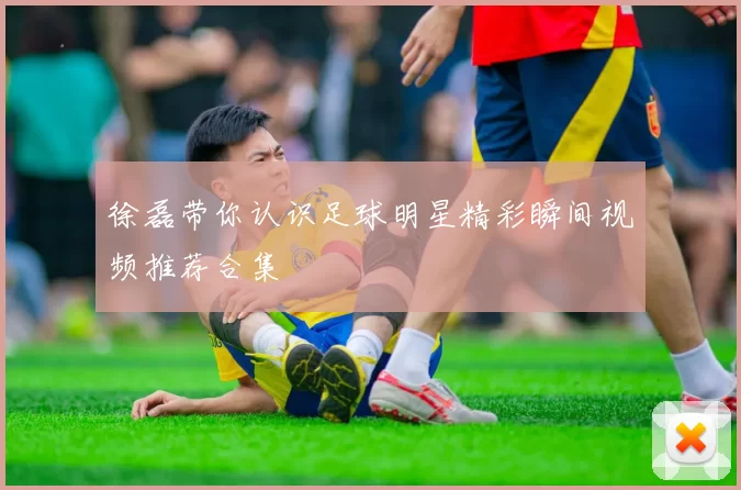 徐磊带你认识足球明星精彩瞬间视频推荐合集