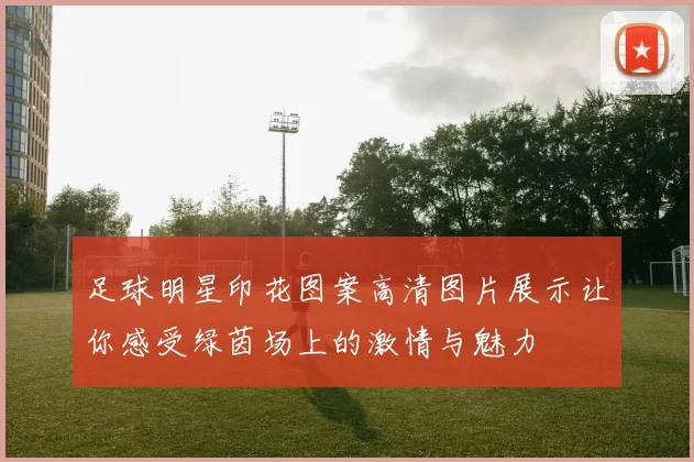 足球明星印花图案高清图片展示让你感受绿茵场上的激情与魅力