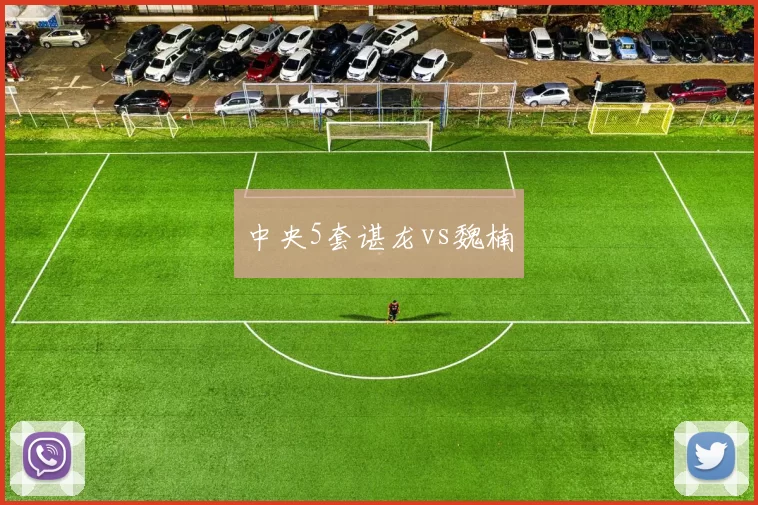 中央5套谌龙vs魏楠