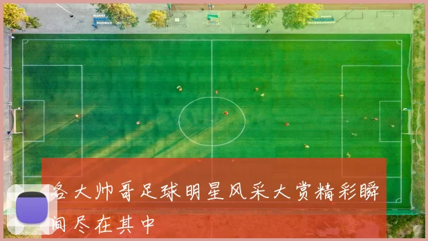 各大帅哥足球明星风采大赏精彩瞬间尽在其中