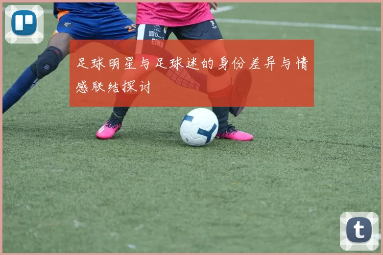 足球明星与足球迷的身份差异与情感联结探讨