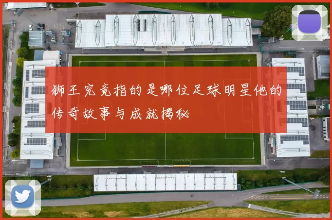 狮王究竟指的是哪位足球明星他的传奇故事与成就揭秘