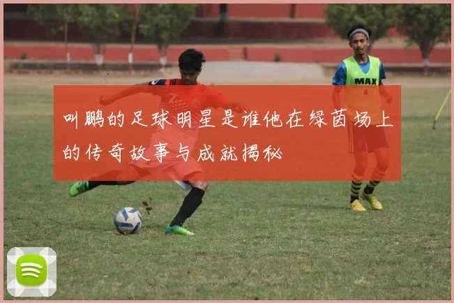 叫鹏的足球明星是谁他在绿茵场上的传奇故事与成就揭秘