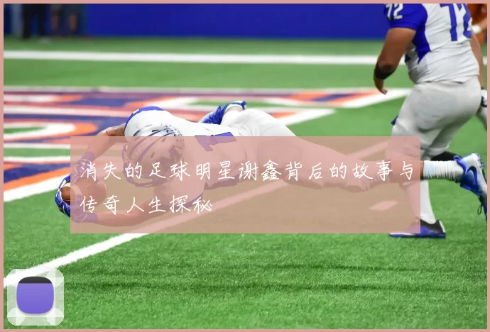 消失的足球明星谢鑫背后的故事与传奇人生探秘