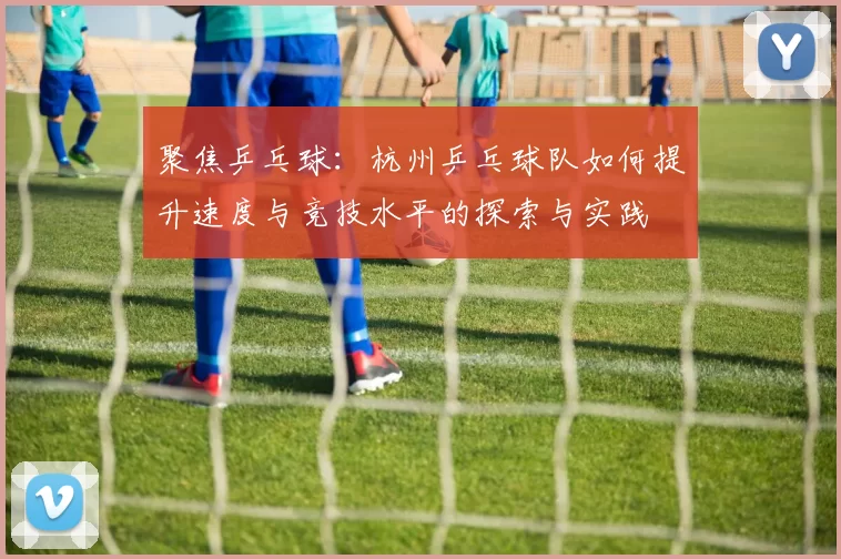 聚焦乒乓球：杭州乒乓球队如何提升速度与竞技水平的探索与实践