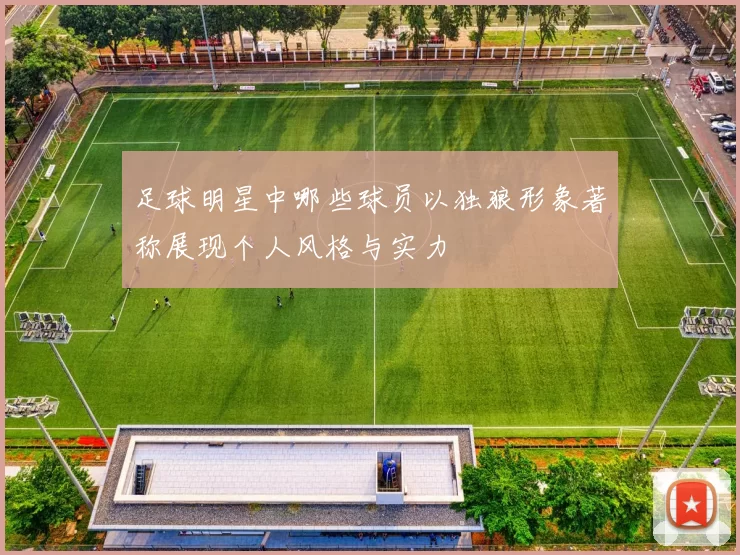 足球明星中哪些球员以独狼形象著称展现个人风格与实力