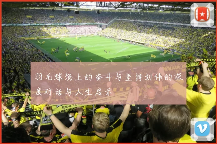 羽毛球场上的奋斗与坚持刘伟的深度对话与人生启示